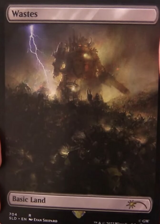 Wastes (704) (Extended Art) [Secret Lair Drop Promos] - Magic: The Gathering - Card Brawlers | Quebec | Canada |