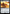 Fireshrieker (Surge Foil) [Fallout] - Magic: The Gathering - Card Brawlers | Quebec | Canada |