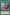 Play the Diabell [SUDA-EN056] Common - Yu-Gi-Oh! - Card Brawlers | Quebec | Canada |