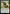 Cache Grab [Bloomburrow] - Magic: The Gathering - Card Brawlers | Quebec | Canada |