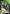Terrible Tornado (Release Event Participation) (UEPR/OPM-1-051) - UE06BT One Punch Man Release Event Cards