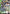 Wing Gundam (ST02-001) (ST02-001) - Edition Beta Holofoil