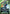 Shenlong Gundam (GD01-041) - Edition Beta