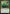 Aatchik, Emerald Radian [Aetherdrift Prerelease Promos] - Magic: The Gathering - Card Brawlers | Quebec | Canada |