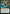 Sita Varma, Masked Racer [Aetherdrift Prerelease Promos] - Magic: The Gathering - Card Brawlers | Quebec | Canada |