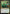 Aatchik, Emerald Radian (Promo Pack) [Aetherdrift Promos] - Magic: The Gathering - Card Brawlers | Quebec | Canada |