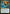 Sita Varma, Masked Racer (Promo Pack) [Aetherdrift Promos] - Magic: The Gathering - Card Brawlers | Quebec | Canada |