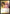The First Sliver (Future Sight) [MagicFest 2019] - Magic: The Gathering - Card Brawlers | Quebec | Canada |