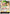 Tony Tony.Chopper (087) (OP10-087) - Royal Blood