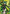 Terrible Tornado (012) (C*) (UE06BT/OPM-1-012) - UE06BT One Punch Man Foil