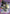 Speed-o'-Sound Sonic (071) (SR**) (UE06BT/OPM-1-071) - UE06BT One Punch Man Foil - UE06BT: One Punch Man - Card Brawlers | Quebec | Canada |