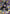 Speed-o'-Sound Sonic (072) (SR*) (UE06BT/OPM-1-072) - UE06BT One Punch Man Foil