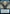 Vesuvan Duplimancy (Extended Art) [Dominaria United] - Magic: The Gathering - Card Brawlers | Quebec | Canada |