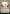 Gandalf the White (Showcase Ring Frame) [The Lord of the Rings: Tales of Middle-Earth] - Magic: The Gathering - Card Brawlers | Quebec | Canada |