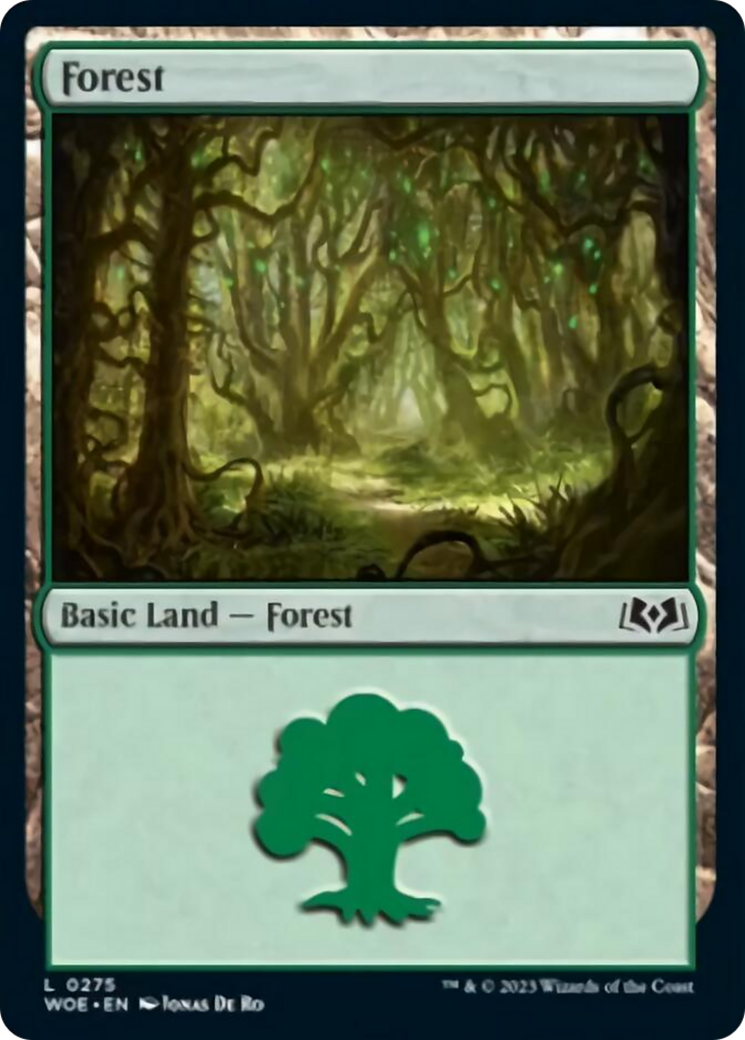 Forest (0275) [Wilds of Eldraine] - Magic: The Gathering - Card Brawlers | Quebec | Canada |