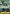 Roronoa Zoro (One Piece Day Dallas 2025) (OP07-113) - One Piece Promotion Cards Foil