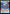 Wing Guard Security Team (072/262) (072/262) [Jump to Lightspeed] - Fantasy Flight Games - Card Brawlers | Quebec | Canada |