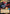 Contracted Jumpmaster (446) (Hyperspace) (446) [Jump to Lightspeed] - Fantasy Flight Games - Card Brawlers | Quebec | Canada |