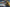Rose Tico - Saving What We Love (1000) (Showcase) (1000) [Jump to Lightspeed] - Fantasy Flight Games - Card Brawlers | Quebec | Canada |