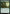 Wall of Roots [Tarkir: Dragonstorm Commander] - Magic: The Gathering - Card Brawlers | Quebec | Canada |