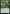 Canopy Gargantuan [Tarkir: Dragonstorm Commander] - Magic: The Gathering - Card Brawlers | Quebec | Canada |