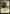 Narset, Jeskai Waymaster [Tarkir: Dragonstorm Promos] - Magic: The Gathering - Card Brawlers | Quebec | Canada |