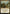 Yathan Roadwatcher [Tarkir: Dragonstorm Promos] - Magic: The Gathering - Card Brawlers | Quebec | Canada |