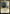 Narset, Jeskai Waymaster [Tarkir: Dragonstorm Prerelease Promos] - Magic: The Gathering - Card Brawlers | Quebec | Canada |