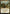 Yathan Roadwatcher [Tarkir: Dragonstorm Prerelease Promos] - Magic: The Gathering - Card Brawlers | Quebec | Canada |