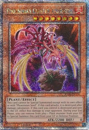 Phoenixian Cluster Amaryllis [RA04-EN136] Quarter Century Secret Rare - Yu-Gi-Oh! - Card Brawlers | Quebec | Canada |