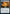 Dungeon Map [Dungeons & Dragons: Adventures in the Forgotten Realms] - Magic: The Gathering - Card Brawlers | Quebec | Canada |