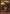 Magmaquake (Game Day) [Magic 2013 Promos] - Magic: The Gathering - Card Brawlers | Quebec | Canada |