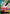 Yamato (SP) (OP06-022) - Extra Booster: Anime 25th Collection Foil