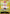 Vegapunk (SP) (OP07-097) - Extra Booster: Anime 25th Collection Foil