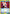 Asuna (Stacia, the Goddess of Creation) (021) (UE07BT/SAO-1-021) - UE07BT Sword Art Online Foil