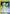Leafa (Earth Goddess, Terraria) (028) (UE07BT/SAO-1-028) - UE07BT Sword Art Online Foil