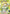 Leafa (Earth Goddess, Terraria) (028) (R*) (UE07BT/SAO-1-028) - UE07BT Sword Art Online Foil