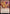 Life of the Party (Promo Pack) [Streets of New Capenna Commander Promos] - Magic: The Gathering - Card Brawlers | Quebec | Canada |
