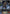 Zealot of Repose (PR-232EN) [Promotional Cards] - Bushiroad - Card Brawlers | Quebec | Canada |