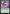 Sakura-Tribe Elder (Year of the Snake 2025) [Standard Showdown Promos] - Magic: The Gathering - Card Brawlers | Quebec | Canada |