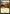 Plains (262) [Core Set 2021] - Magic: The Gathering - Card Brawlers | Quebec | Canada |