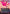 Traveling Chocobo (Borderless) (Neon Ink Pink) [FINAL FANTASY] - Magic: The Gathering - Card Brawlers | Quebec | Canada |