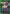 William Vangeance (UE08BT/BCV-1-054) - UE08BT Black Clover