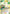 Yusuke Urameshi (Regionals 25-26) (UEPR/YYH-1-038) - Union Arena Promotion Cards Foil