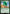 Jumbo Cactuar [FINAL FANTASY Prerelease Promo] - Magic: The Gathering - Card Brawlers | Quebec | Canada |