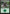 Forest (40) [Duel Decks: Zendikar vs. Eldrazi] - Magic: The Gathering - Card Brawlers | Quebec | Canada |