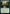 Sylvan Offering [Streets of New Capenna Commander] - Magic: The Gathering - Card Brawlers | Quebec | Canada |