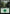 Forest (MKM) [The List] - Magic: The Gathering - Card Brawlers | Quebec | Canada |