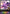 Magical Augmentation (PR-270EN) [Promotional Cards] - Bushiroad - Card Brawlers | Quebec | Canada |