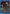 Toge Inumaki (014) (UEPR/JJK-3-014) - UEX02BT Jujutsu Kaisen Vol2 Release Event Cards